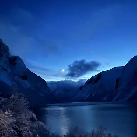 Campsite Iris Vedal *