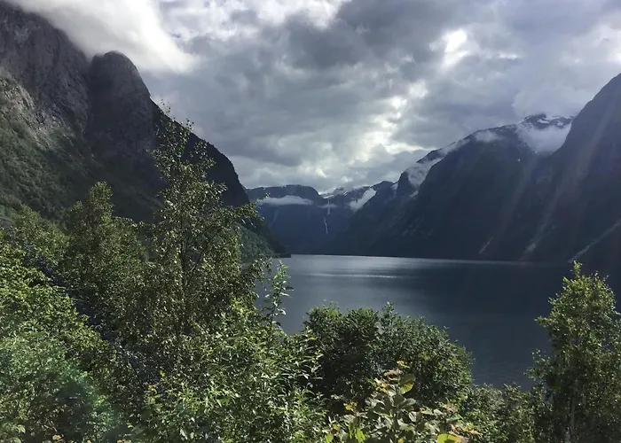 Iris Vedal Camping *